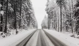 Тұман, боран: Астана және еліміздің 15 өңірінде дауылды ескерту жарияланды