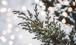 Бүгін бірнеше өңірде ауа райы қолайсыз болады