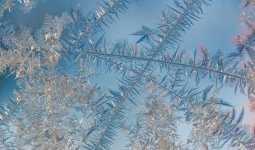 Аяз, көктайғақ: Еліміздің бірнеше өңірінде ескерту жасалды