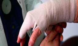 Павлодарда үсік шалғандар көбейді