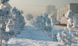 Боран мен қатты аяз: синоптиктер 19 қаңтарға арналған ауа райына болжам ұсынды