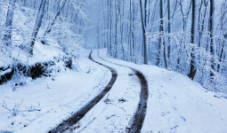 Аяз, боран: Еліміздің 12 өңірінде дауылды ескерту жарияланды