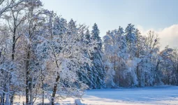 Бүгін бірқатар өңірде ауа райына байланысты ескерту жасалды