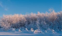 Жаңбыр, қар, көктайғақ: Кей өңірлерде ауа райына байланысты ескерту жасалды