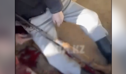 Маңғыстаудағы сұмдық оқиға: қызын зорлаған әке өзіне қол салды (ВИДЕО)