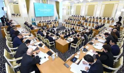 Жаңа Конституция жобасының мәтіні қайда жарияланатыны белгілі болды