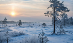 Тұман, көктайғақ: Бірнеше өңірде ескерту жарияланды