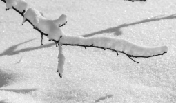 Қар, көктайғақ: Елдің басым бөлігінде қолайсыз ауа райына байланысты ескерту жасалды,