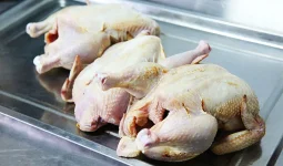 «Ұлдардың кеудесі өсіп, қыздар ерте жетіледі»: маман тауық етінің зиянын айтып дабыл көтерді