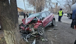 Алматы маңында екі көлік соғылып, 1 адам қаза тапты