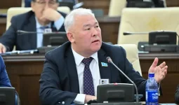 «Неге жалған ақпарат бересіз?»: Депутат Әбенов Энергетика вице-министріне шүйлікті (ВИДЕО)