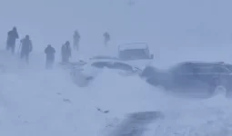 Ірі жол апаты: «Үшарал – Достық»: автожолында 5 көлік соқтығысты