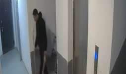 Атырауда тұрғын үйде қолына ара ұстаған ер адам жұртты шошытты