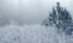 Аяз, тұман: Еліміздің 14 өңірінде дауылды ескерту жарияланды