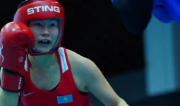 Странджа кубогы: 6 қазақстандық боксшы жарысты жалғастырады