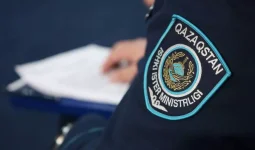 Қарағандыда бір топ жасөспірім қыз баланы аяусыз соққыға жыққан