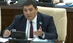 Электр нарығы олигархтардың қолында ма? Депутат «АстанаЭнергосбытты» монополия деп атады