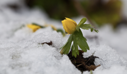 «Көктайғақ, тұман, боран»: Қазақстанның басым бөлігінде дауылды ескерту жарияланды