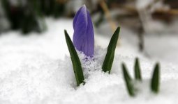 Бүгін еліміздің 16 облысында дауылды ескерту жарияланды