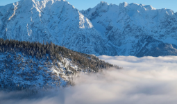 Көктайғақ, тұман: Елдің басым бөлігінде ескерту жасалды