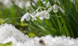 Нөсер жауын, аяз, жел: Ел аумағында күн әлі жылына қоймайды