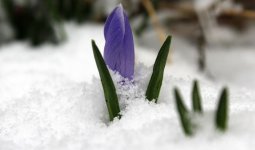 Жауын-шашын, бұрқасын, көктайғақ: Мерекеде бірнеше өңірде қолайсыз ауа райы болады