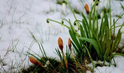 Бүгін елімздің басым бөлігінде тұрақсыз ауа райы болады