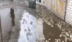 Семейде көшені су басты: Тұрғын әкімдікті сотқа бермек