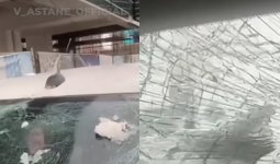 Астанада LRT-дан құлаған мұз көліктің әйнегін шағып тастады (ВИДЕО)