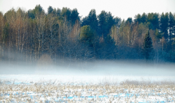 Көктайғақ, тұман: Қолайсыз ауа-райына байланысты ескерту жасалды