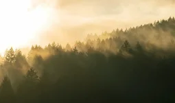 Жаңбыр, найғазай, көктайғақ: Бірқатар өңірде ауа райына байланысты ескерту жасалды