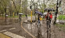 Жаңбыр жауып, жел екпіні күшейеді: 30 наурызға ауа райы болжамы