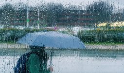 Тұман, жаңбыр, найзағай: Сейсенбіде еліміздің басым бөлігінде ауа райы бұзылады