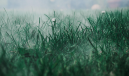 «Көктайғақ, тұман»: Еліміздің 13 өңірінде дауылды ескерту жарияланды