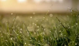 Жаңбыр, бұршақ, тұман: Еліміздің басым бөлігінде дауылды ескерту жарияланды