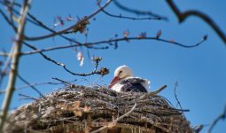 Бүгін еліміздің 16 өңірінде қолайсыз ауа райы болады