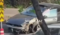 Зардап шеккендер бар: Алматыдағы Әл-Фараби даңғылында тағы да жол апаты болды