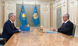 Тоқаев Қаржылық мониторинг агенттігінің төрағасы Жанат Элимановты қабылдады