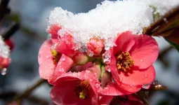 Жаңбыр, найзағай, қатты жел: Ел аумағында күн райы бұзылды