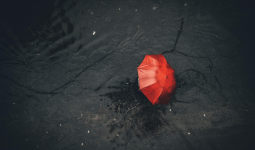 Тұман, жаңбыр: Елдің бірнеше өңірінде қолайсыз ауа райы сақталады