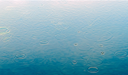 Тұман, дауыл: Еліміздің бірнеше өңірінде ескерту жасалды