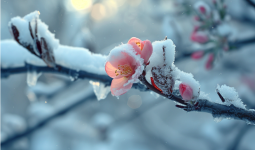 -18 градусқа дейінгі аяз: Қазақстанда қайтадан күн күрт суытады