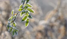 15 өңірге ескерту: Ел аумағында ауа райы күрт бұзылып, дауыл соғады