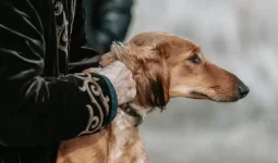 Қазақстанда тағы бір жаңа мереке пайда болады