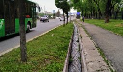 Алматыда арықтан ер адамның мәйіті табылды