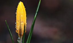 Бүгін елімізде ауа райы қалай құбылатыны белгілі болды