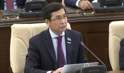 4 млн баланың тағдыры таразыда: Асхат Аймағамбетов мектептерді ауданға беруге қарсы шықты