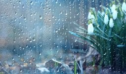 28 cәуірде ел бойынша қолайсыз ауа райы күтіледі