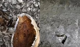 ШҚО-да сүйек шашылған жерге аурухана салып жатыр: Тұрғындар шошыды