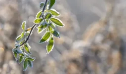 Үсік, найзағай, аяз: Бүгін еліміздің бірқатар өңірінде ескерту жарияланды